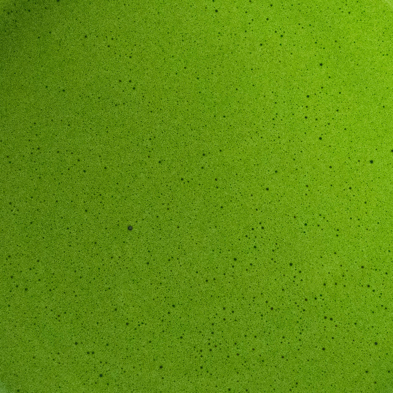 hisaku gokou ceremonial first harvest matcha uji kyoto japan bamboo whisk foam