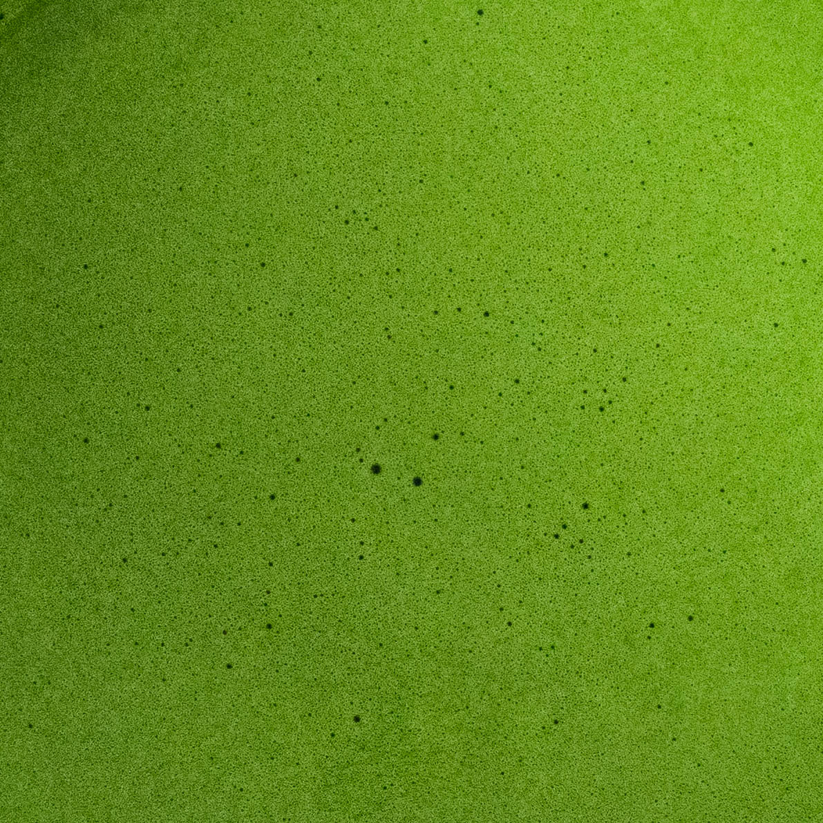 Ando Yabukita premium first harvest matcha uji kyoto japan matcha whisk foam