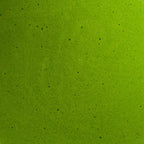 saemidori okumidori ceremonial first harvest matcha kagoshima kyoto japan matcha whisk foam