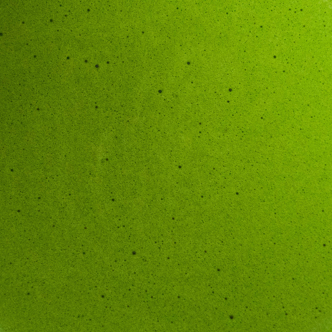 saemidori okumidori ceremonial first harvest matcha kagoshima kyoto japan matcha whisk foam